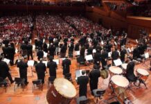 Concerti, balletti e opera a Budapest Concerti a Budapest